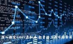深入探究DXDY虚拟币：投资