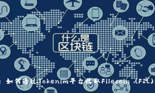 : 如何通过Tokenim平台收取Filecoin (FIL)？