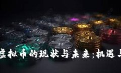 网络虚拟币的现状与未来