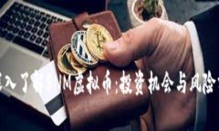 : 深入了解SNM虚拟币：投资