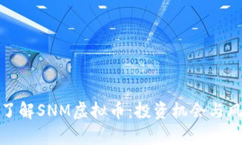 : 深入了解SNM虚拟币：投资机会与风险分析