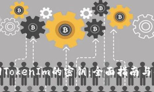 如何找回TokenIm的密钥：全面指南与解决方案