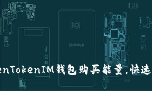 如何通过TokenTokenIM钱包购买能量，快速提升交易效率