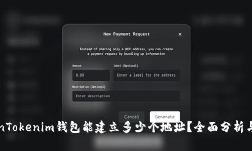 一个TokenTokenim钱包能建立多少个地址？全面分析与实用指南