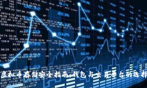 虚拟币存储安全指南：钱包与交易平台的选择