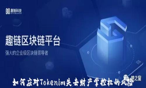 
如何应对Tokenim失去财产掌控权的风险