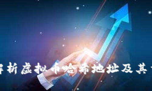 全面解析虚拟币哈希地址及其重要性