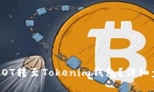 如何将币安的DOT转至Tokenim钱包？详细步骤与通道解析