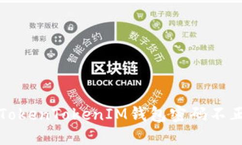 如何解决TokenTokenIM钱包密码不正确的问题