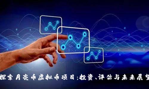 探索月亮币虚拟币项目：投资、评估与未来展望