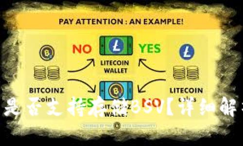 Tokenim钱包是否支持存储BSV？详细解析与用户指南