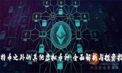 比特币之外的其他虚拟币