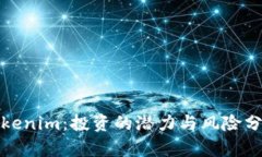 Tokenim：投资的潜力与风险