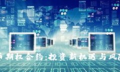 虚拟币期权合约：投资新机遇与风险评估