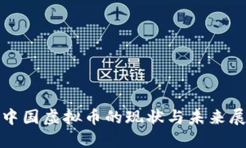 : 中国虚拟币的现状与未来展望