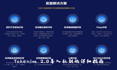 Tokenim 2.0导入私钥的详细指南