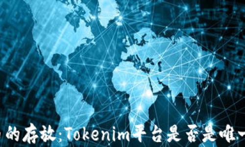 
空投币的存放：Tokenim平台是否是唯一选择？