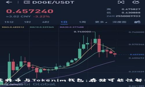 莱特币与Tokenim钱包：存储可能性解析
