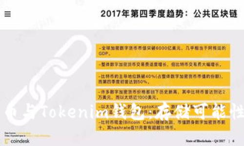 莱特币与Tokenim钱包：存储可能性解析