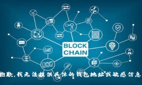 抱歉，我无法提供具体的钱包地址或敏感信息。