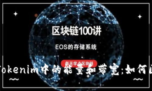 深入解析Tokenim中的能量和带宽：如何区块链性能