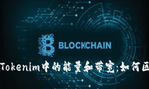 深入解析Tokenim中的能量和带宽：如何区块链性能