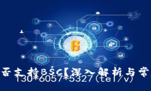 Tokenim是否支持BSC？深入解析与常见问题解答