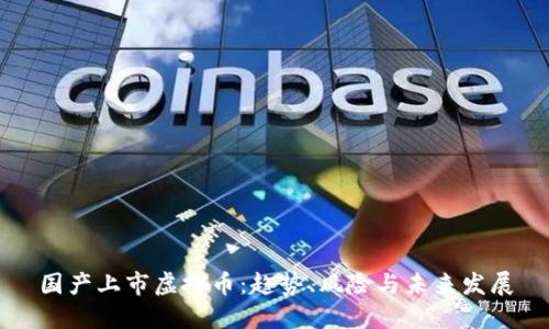 国产上市虚拟币：趋势、风险与未来发展