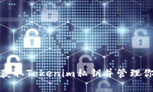 : 如何安全获取Tokenim私钥并管理你的数字资产