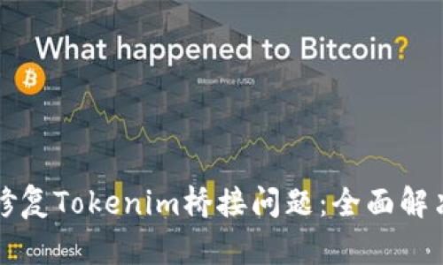 如何有效修复Tokenim桥接问题：全面解决方案指南