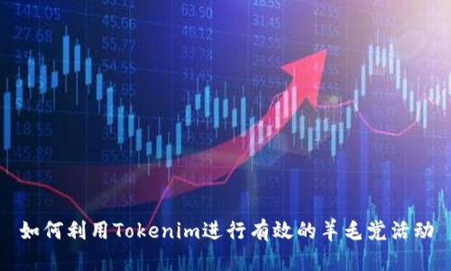 如何利用Tokenim进行有效的羊毛党活动