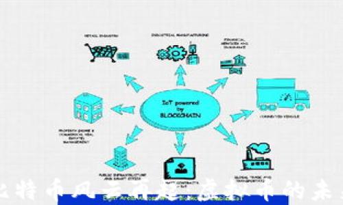 
比特币风云再起：虚拟币的未来