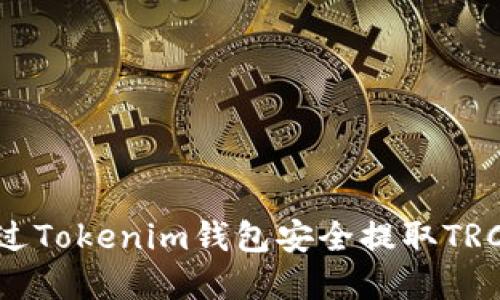 如何通过Tokenim钱包安全提取TRC20资产
