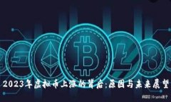 2023年虚拟币上涨的背后：