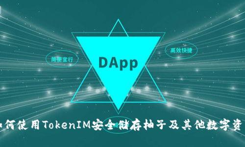 如何使用TokenIM安全储存柚子及其他数字资产