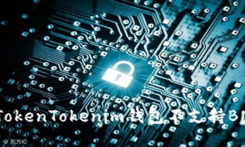 如何解决TokenTokenim钱包不支持BNB的问题？