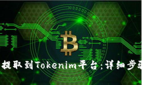 如何将FIL币提取到Tokenim平台：详细步骤与注意事项