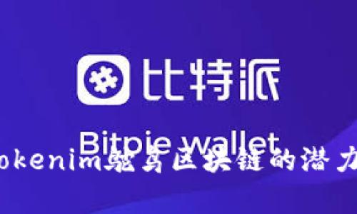 打造未来：Tokenim鸵鸟区块链的潜力与应用解析