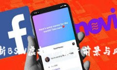 深入分析BSW虚拟币：投资