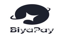  探索虚拟币IDV：您的数字资产投资新机遇