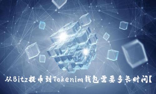 从Bitz提币到Tokenim钱包需要多长时间？