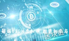 深入解析USDM虚拟币：投资