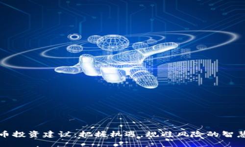 虚拟币投资建议：把握机遇，规避风险的智慧之选