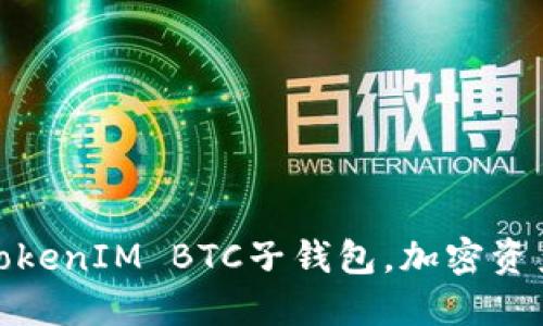 如何高效管理TokenIM BTC子钱包，加密资产安全和便捷性
