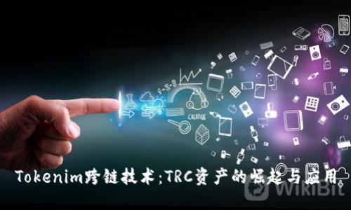Tokenim跨链技术：TRC资产的崛起与应用